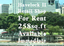 Havelock2 (D1), Retail #135386702